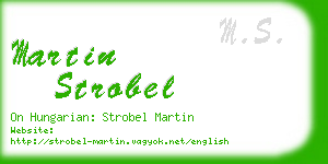 martin strobel business card